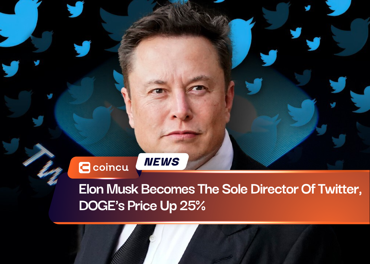 Elon Musk Becomes The Sole Director Of Twitter, DOGE's Price Up 25%