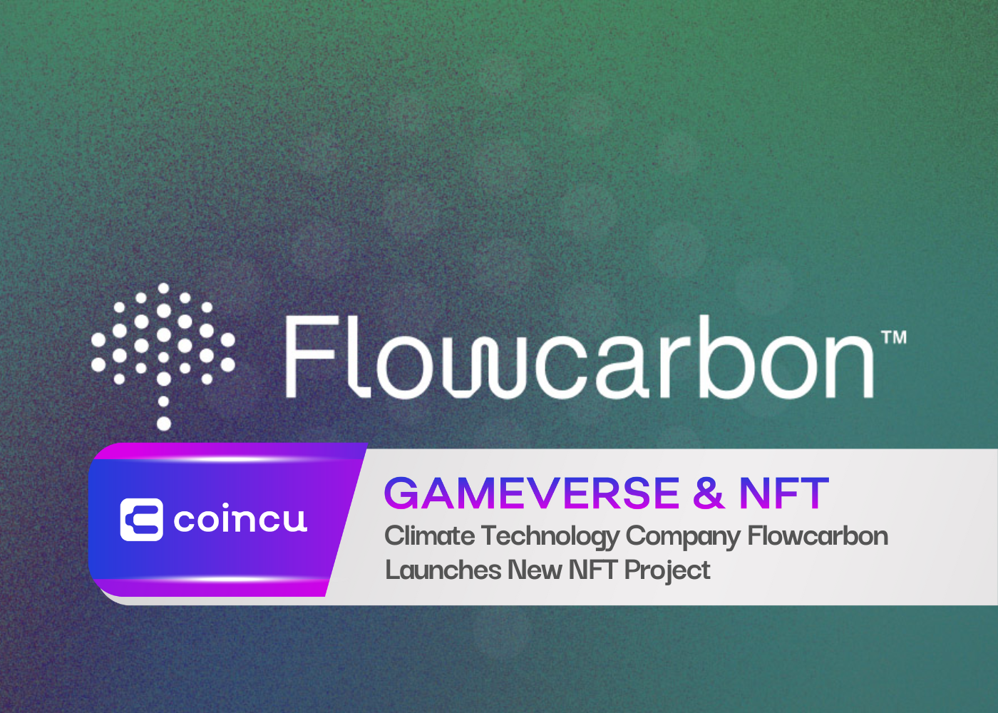 La société de technologie climatique Flowcarbon lance un nouveau projet NFT