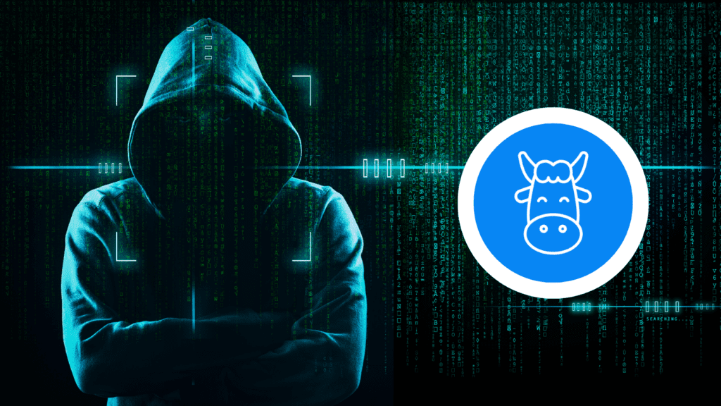 Moola Market