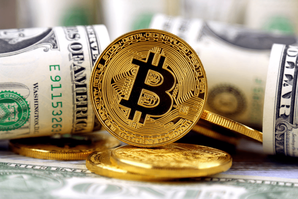 Bitwise Expands to Active Strategies With A New Alternatives Team