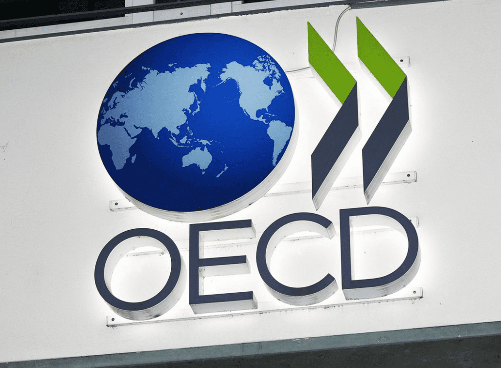 OECD Concerned About The Impact Of Crypto On The Financial System 1 OECD Concerned About The Impact Of Crypto On The Financial System