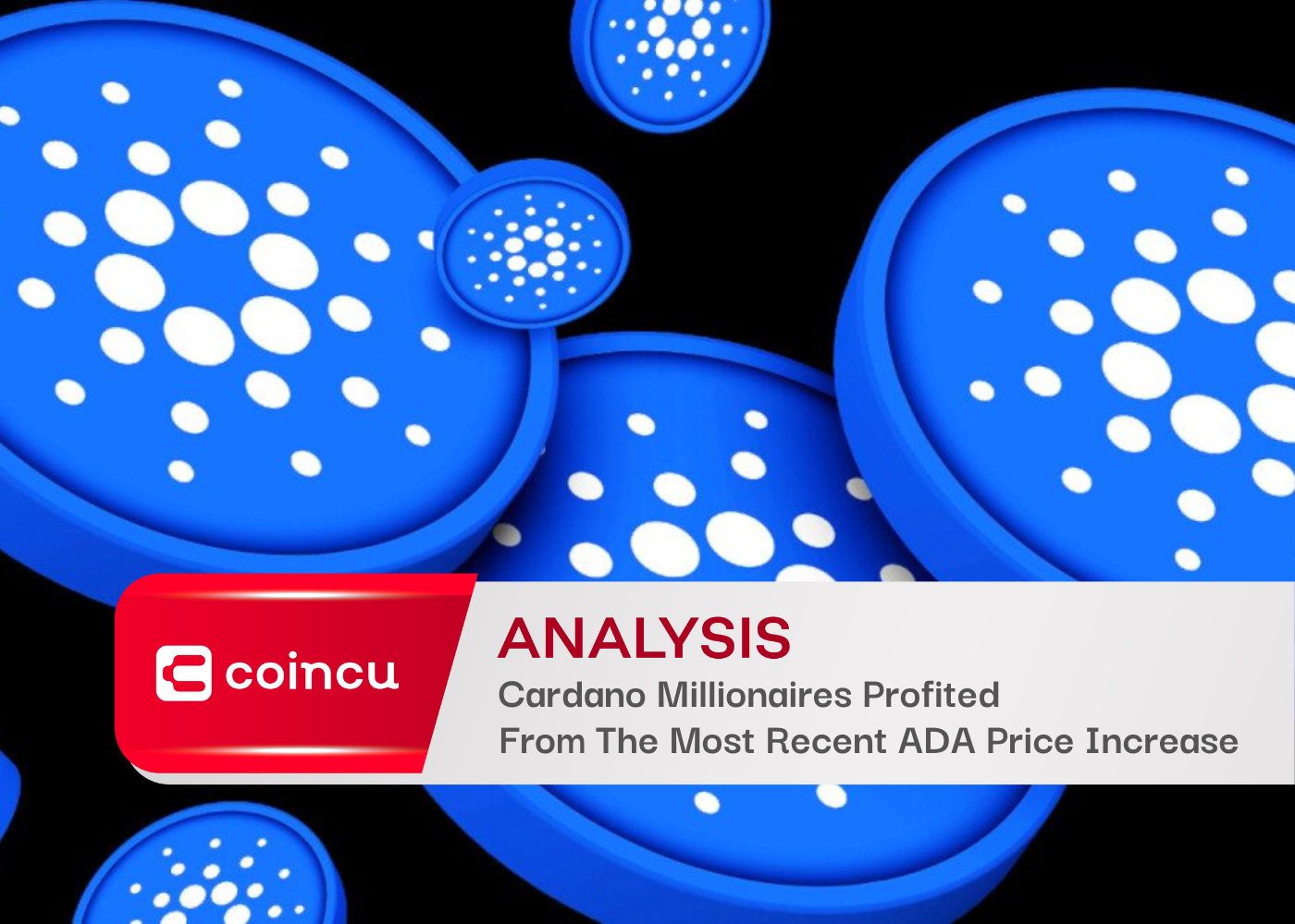 Cardano Millionaires Profited