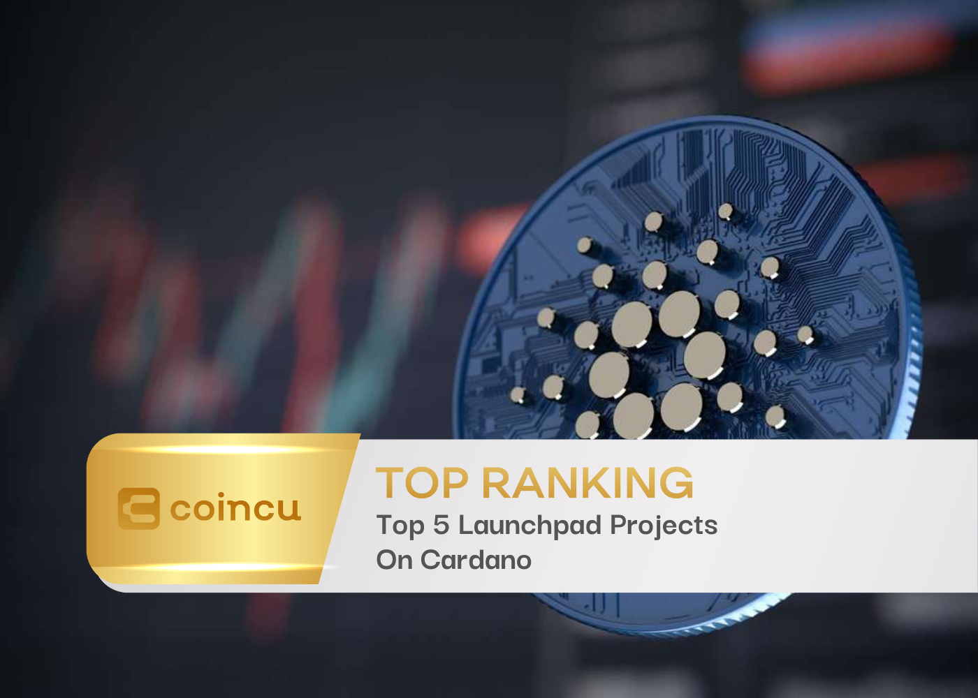 Top 5 Launchpad Projects