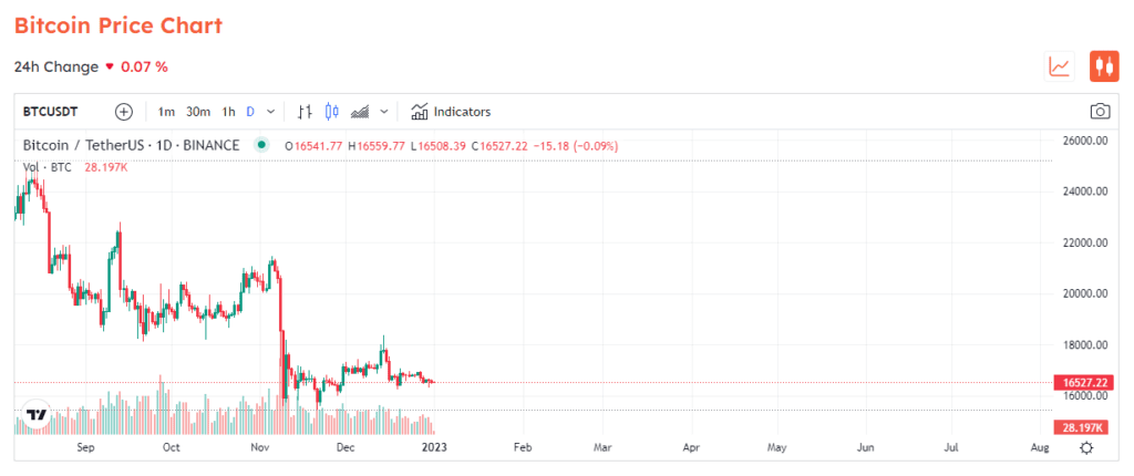 Bitcoin Would Not Be Able To Recover In 2023, Says Lightspark CEO 