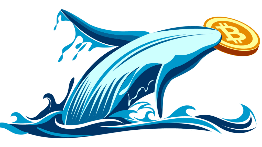 Bitcoin Whale That Dormant For Almost 4 Years Suddenly Moves $250 Million