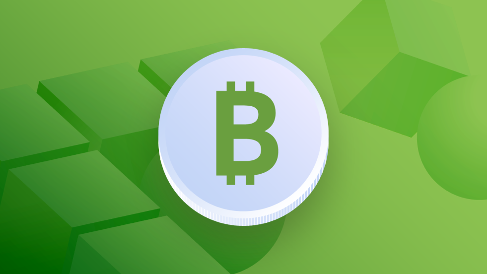 Bitcoin Cash Community Excited For Upcoming Hard Fork Improvements 1 Bitcoin Cash Community Excited For Upcoming Hard Fork Improvements