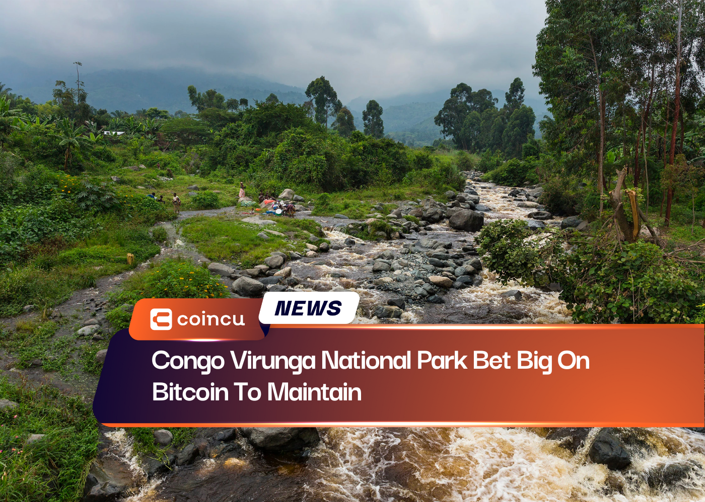 Congo Virunga National Park Bet Big On Bitcoin To Maintain