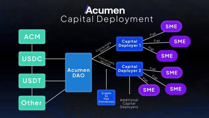 Acumen Network Receives Strategic Investment From Avalanche Blizzard Eco-Fund 2 Acumen Network Receives Strategic Investment From Avalanche Blizzard Eco-Fund