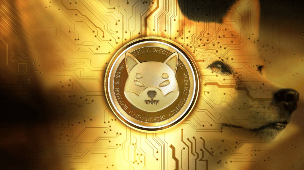 The Shiba Inu Team Warns On The Beta Tokens On The Shibarium Portal Release