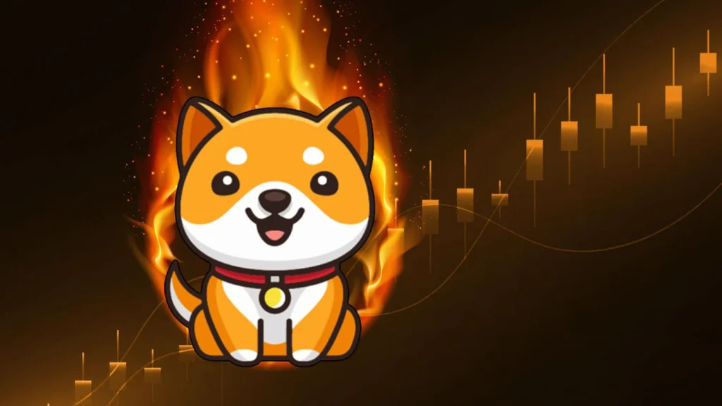BabyDoge Burn Innovation Will Launch Within The Next 24 Hours