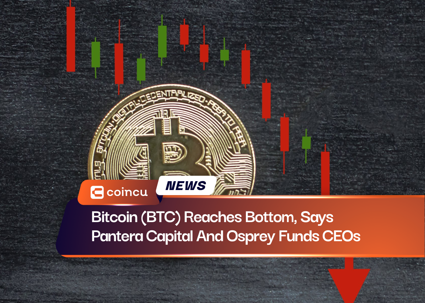 Bitcoin (BTC) Reaches Bottom, Says Pantera Capital And Osprey Funds CEOs