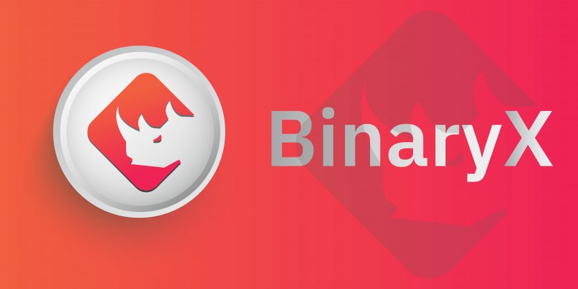 Stunning Surge! BinaryX Token Skyrockets 9000% Post BNX Split! 1 Stunning Surge! BinaryX Token Skyrockets 9000% Post BNX Split!