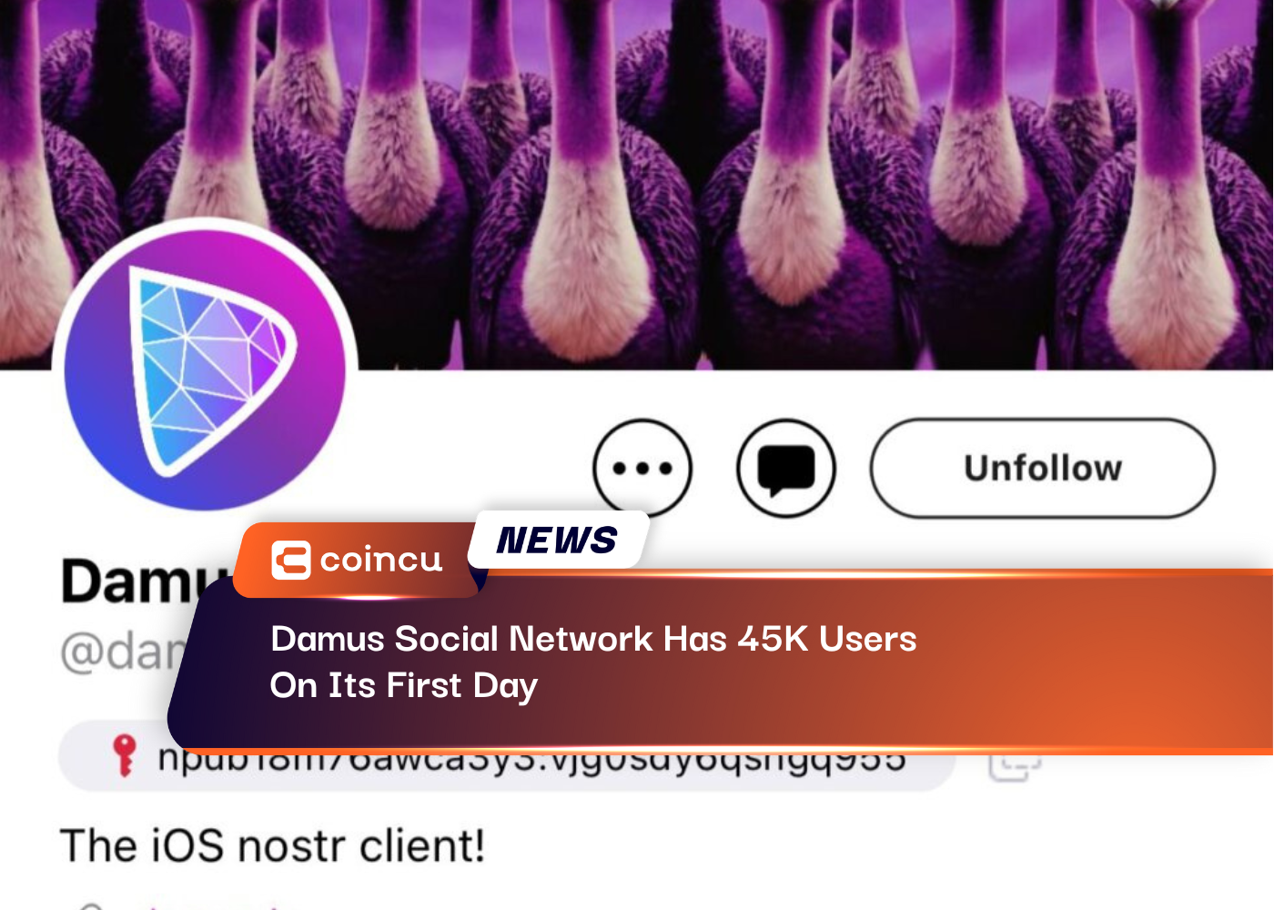 Damus Social Network Has 45K Users