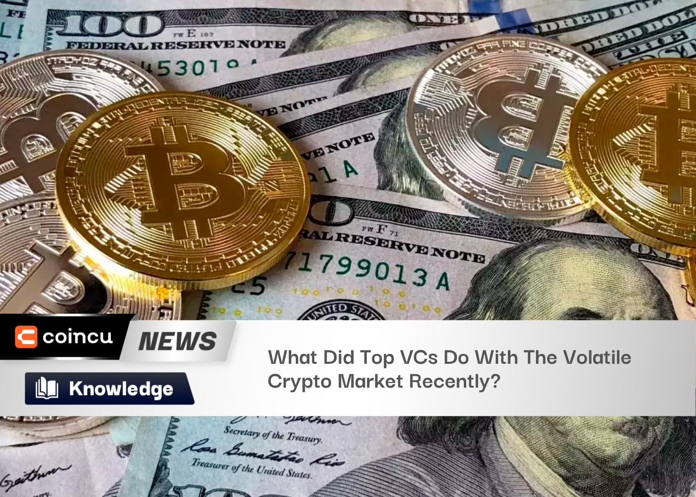 What Did Top VCs Do With The Volatile Crypto Market Recently?