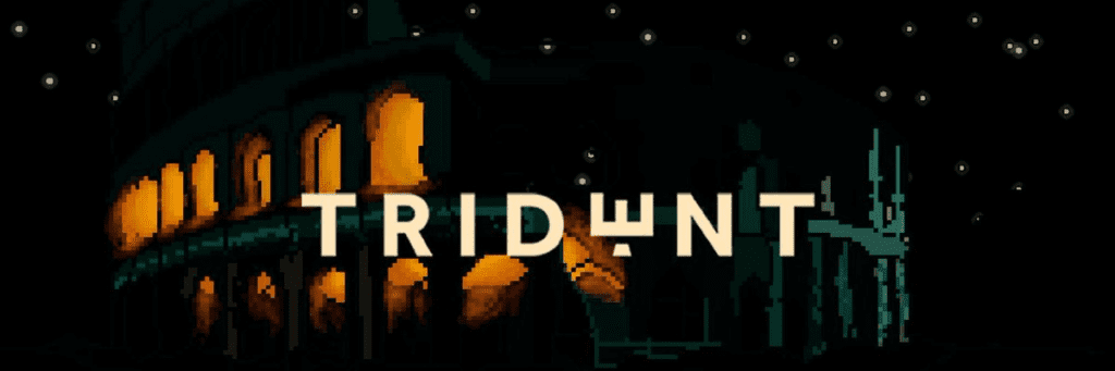 Trident: Will Arbitrum's Last Project Strong Grow Motivation With The Risk To Earn Model? 1 Trident: Will Arbitrum's Last Project Strong Grow Motivation With The Risk To Earn Model?