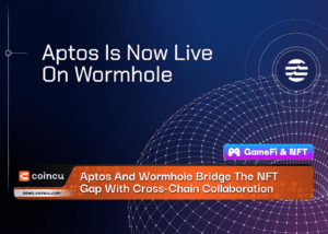 Aptos And Wormhole Bridge The NFT