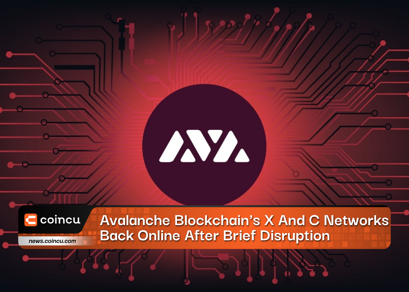 Avalanche Blockchains X And C Networks