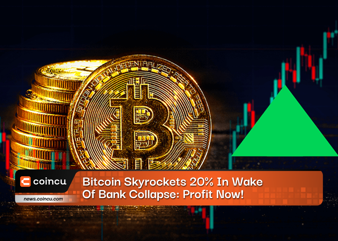 Bitcoin Skyrockets 20 In Wake
