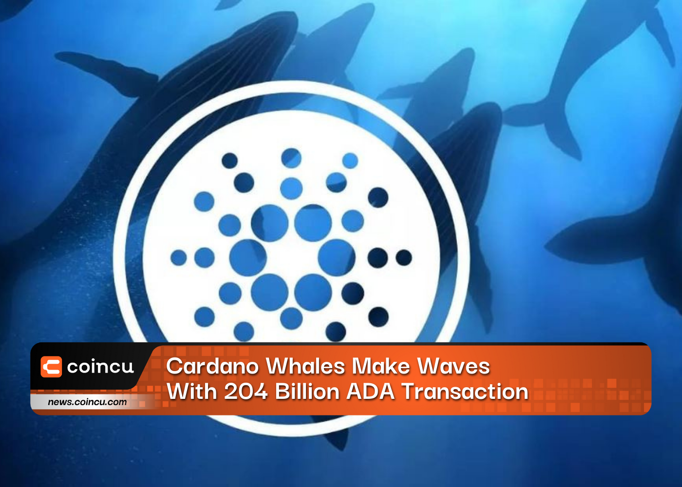Cardano Whales Make Waves