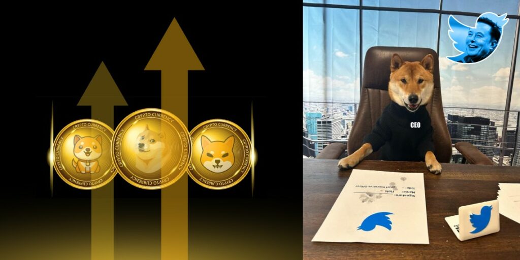 Shiba Inu Surges In Price After Elon Musk's Meme Tweet 1 Shiba Inu Surges In Price After Elon Musk's Meme Tweet