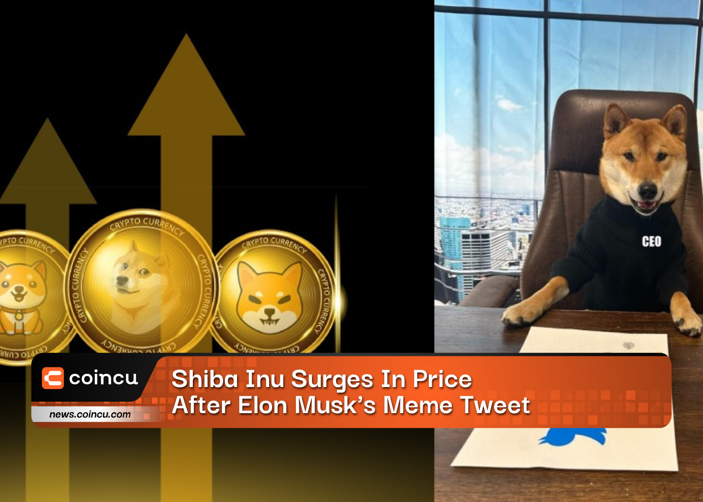 Shiba Inu Surges In Price