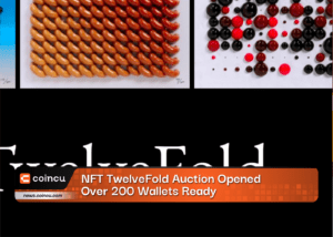 NFT TwelveFold Auction Opened, Over 200 Wallets Ready