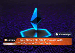 Top 5 Native zkEVM Protocols With The Potential To Join Early