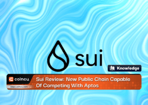 Sui Review: New Public Chain Capable Of Competing With Aptos