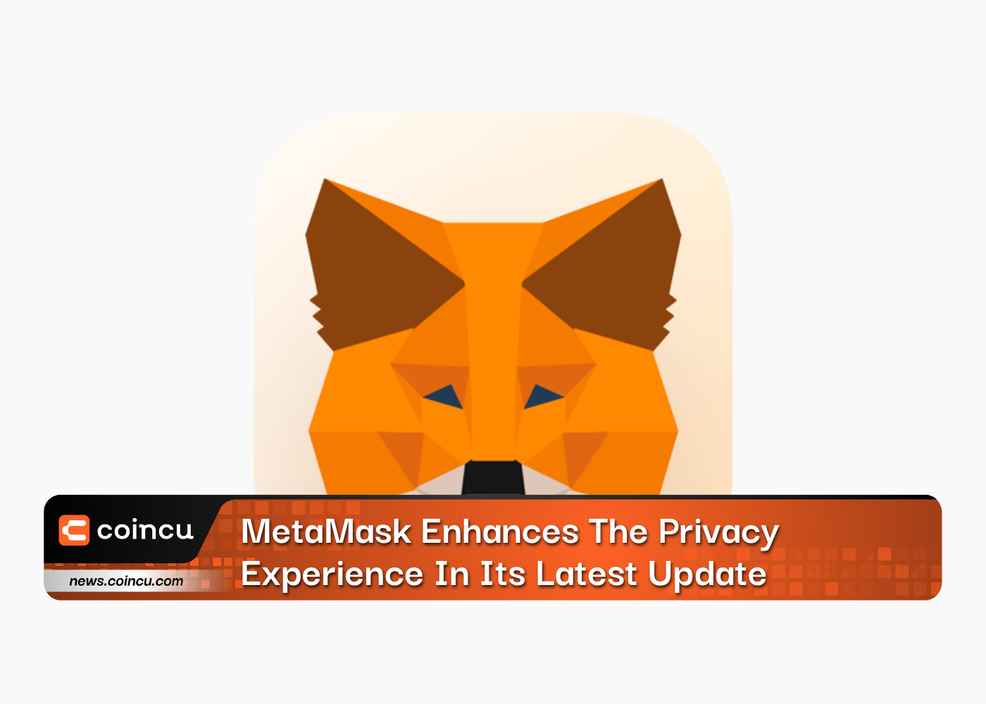 MetaMask Enhances The Privacy Experience In Its Latest Update