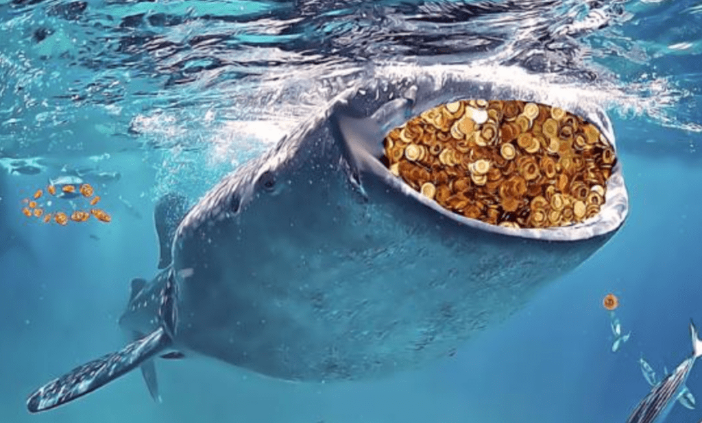 Nearly 8.93 Million ARB Was Bought By The Two Giant Whale Addresses Today 2 Nearly 8.93 Million ARB Was Bought By The Two Giant Whale Addresses Today