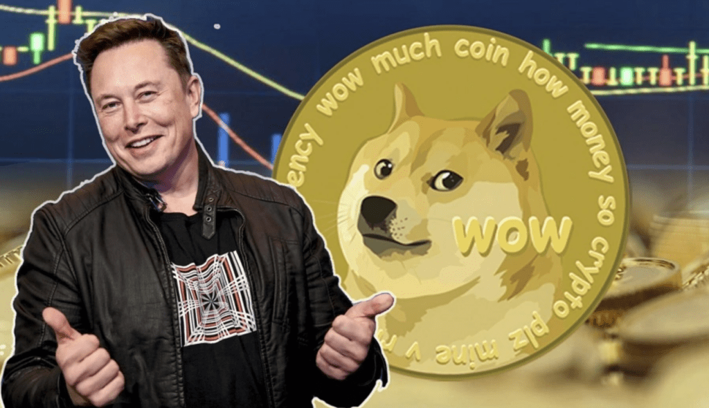 $24 Billion Dogecoin Was Discovered In A Myterous Wallet, Community Calls Elon Musk Name