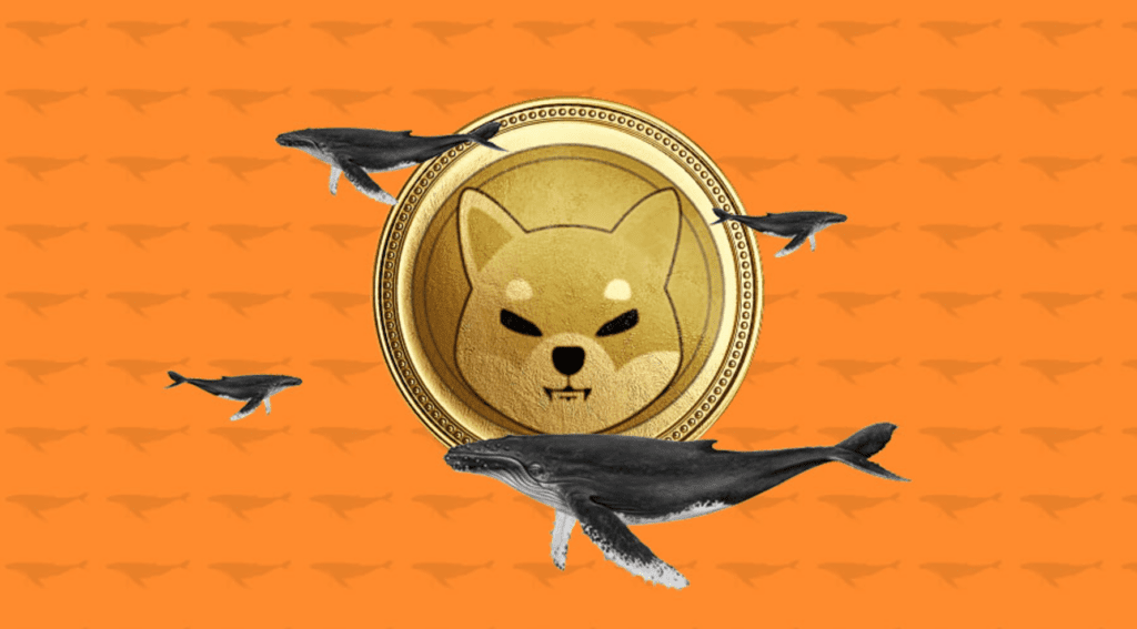 A Crypto Whale Just Collected 150 Million SHIB Just Before Burning Time 2 A Crypto Whale Just Collected 150 Million SHIB Just Before Burning Time