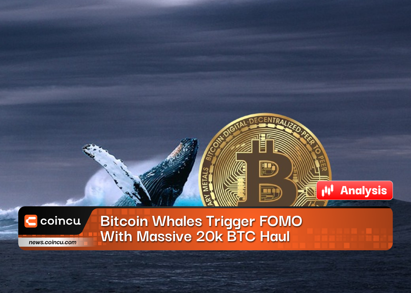 Bitcoin Whales Trigger FOMO
