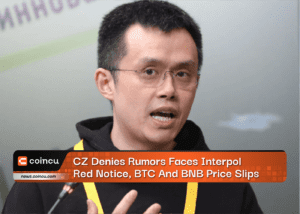 CZ Denies Rumors Faces Interpol Red Notice, BTC And BNB Price Slips