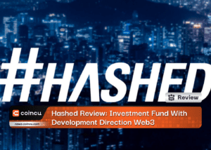 Hashed Review: Investment Fund With Development Direction Web3