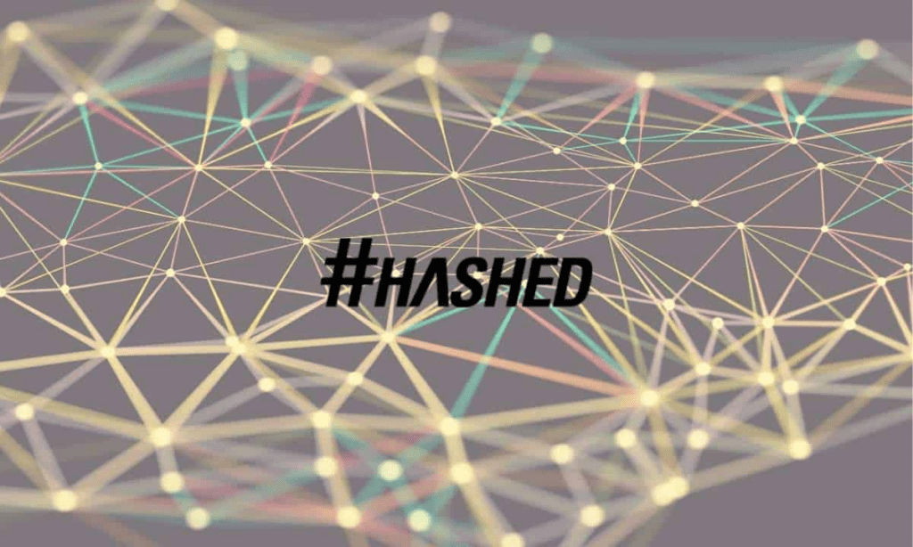 Hashed Review: Investment Fund With Development Direction Web3