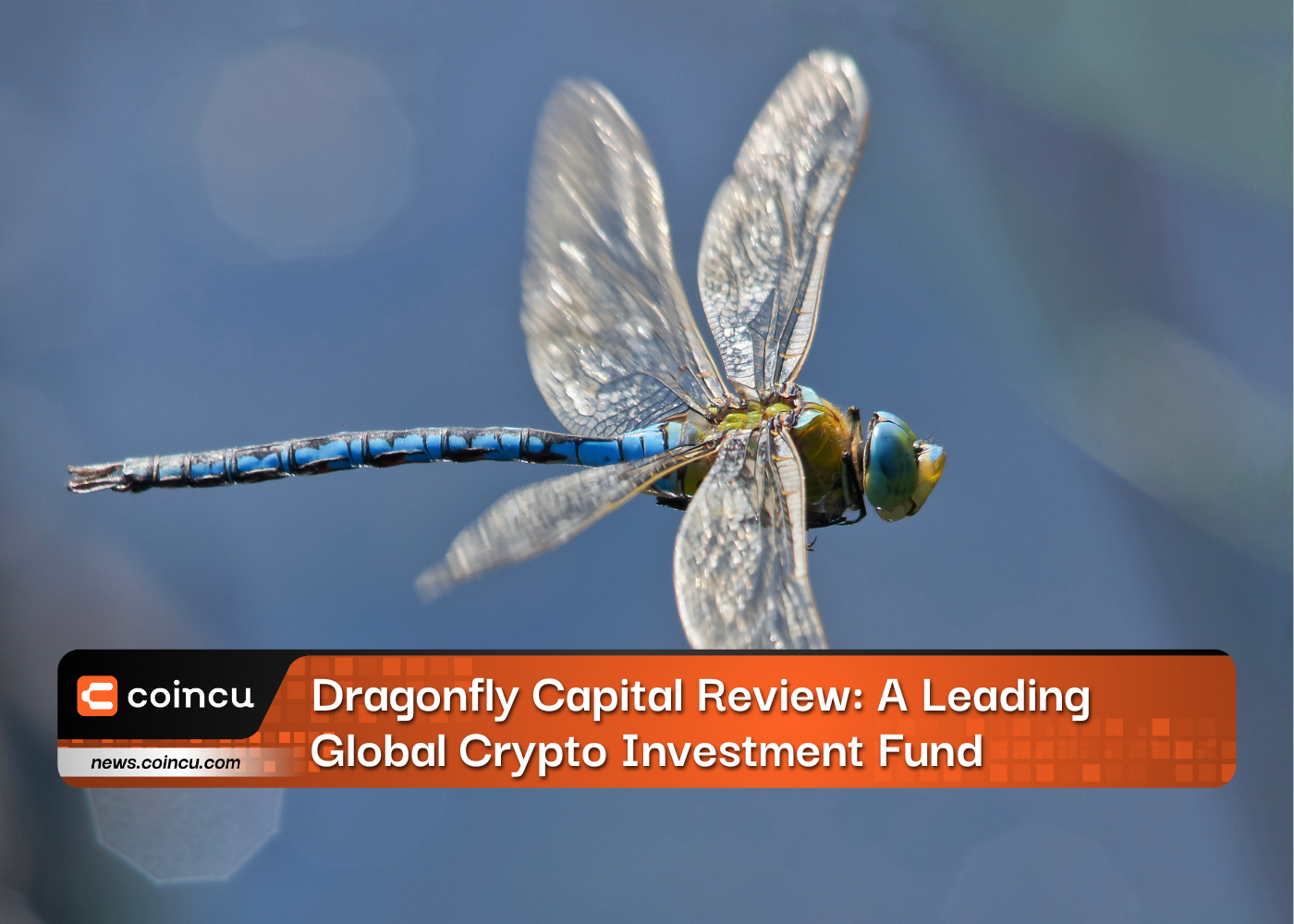 Dragonfly Capital Review: A Leading Global Crypto Investment Fund