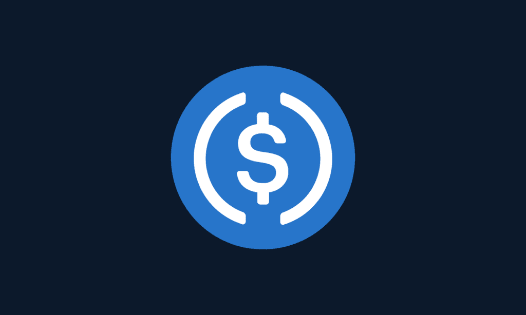Circle CEO Blames The US Policy After USDC's Massive Fall