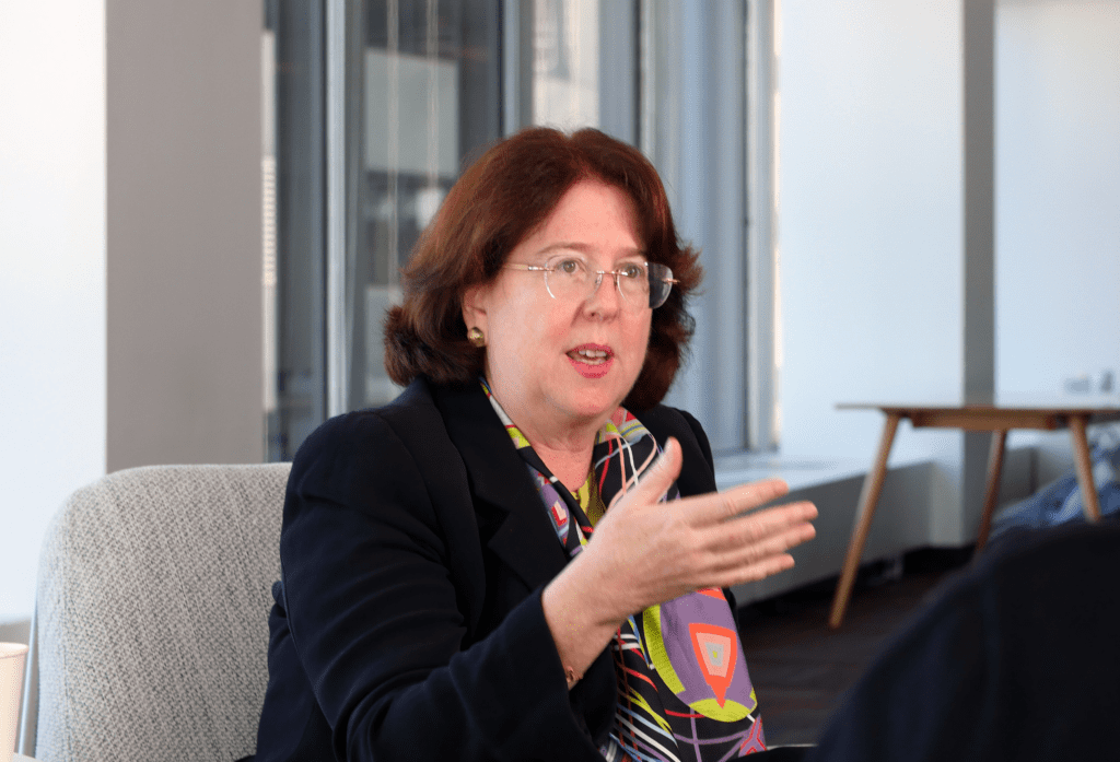 Elizabeth McCaul Wants Stricter Law To Increase Supervision Of Crypto Exchanges