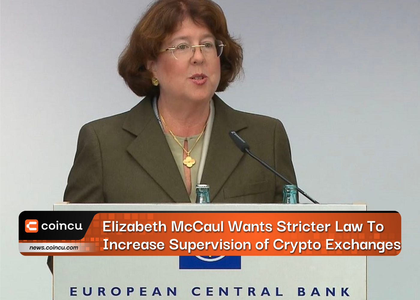 Elizabeth McCaul Wants Stricter Law To Increase Supervision Of Crypto Exchanges