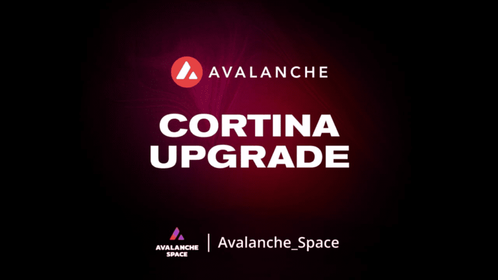 Avalanche Activated Cortina Upgrade On Fuji Testnet, AVAX Up Nearly 2%