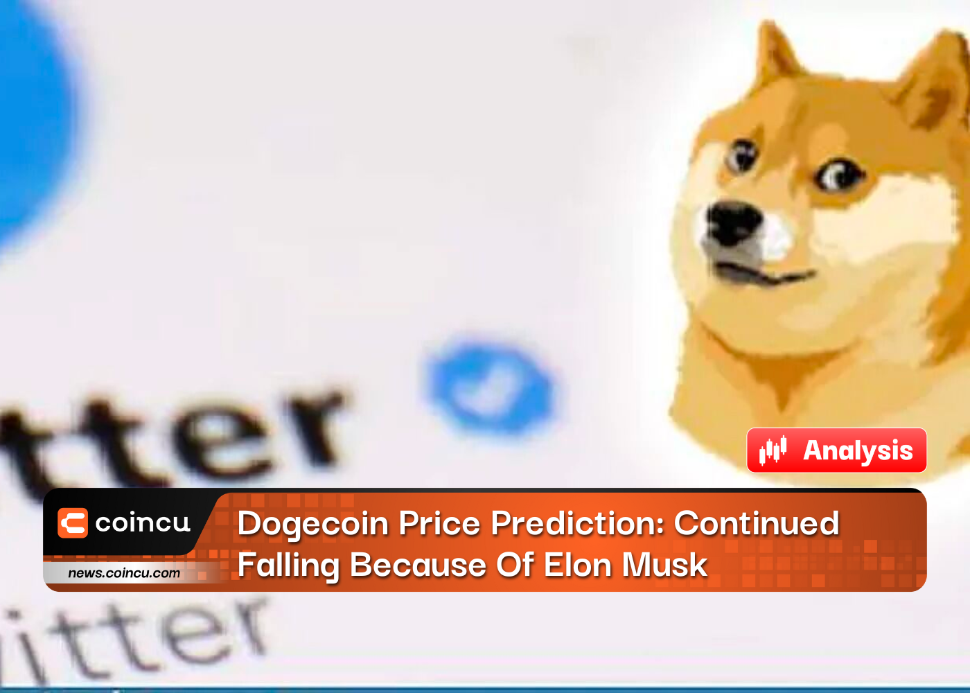 Dogecoin Price Prediction: Continued Falling Because Of Elon Musk