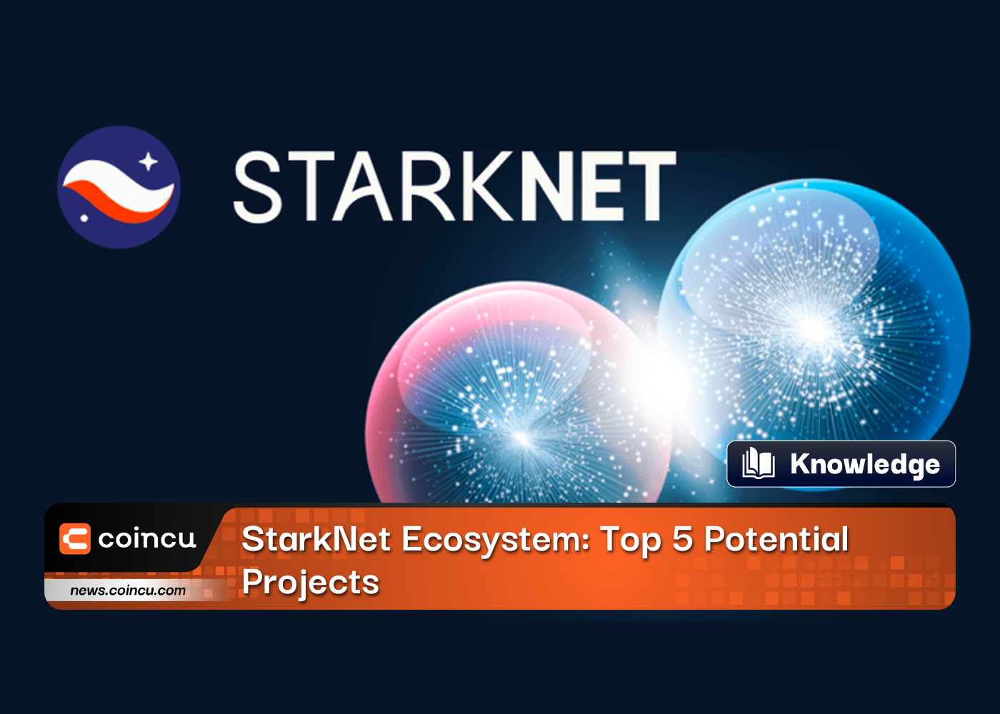 StarkNet Ecosystem: Top 5 Potential Projects