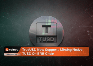 TrueUSD Now Supports Minting Native TUSD On BNB Chain