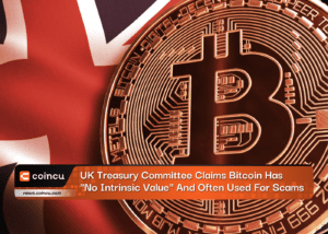 UK Treasury Committee Claims Bitcoin Has "No Intrinsic Value" And Often Used For Scams