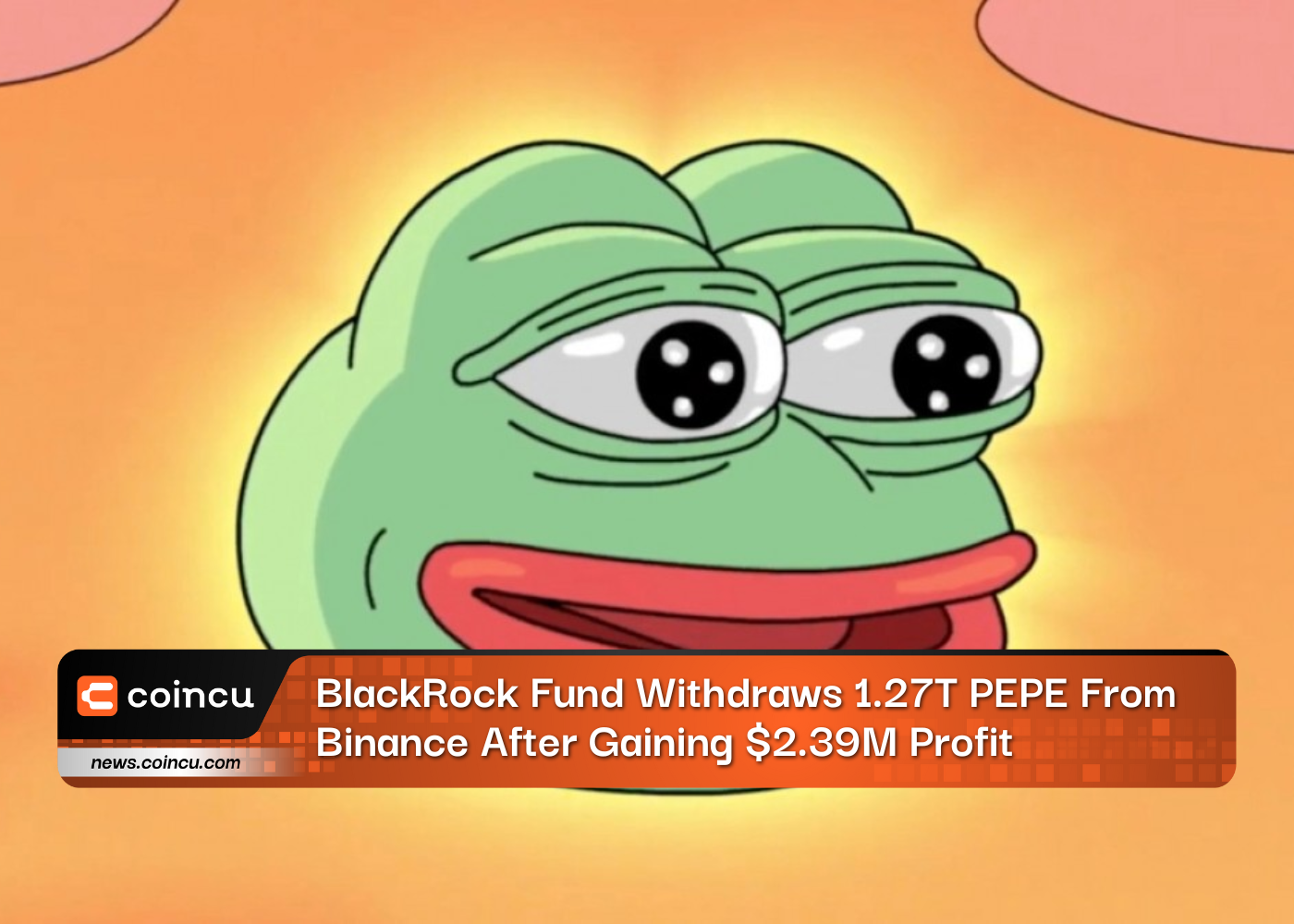 BlackRock Fund Withdraws 1.27T PEPE From Binance After Gaining $2.39M Profit