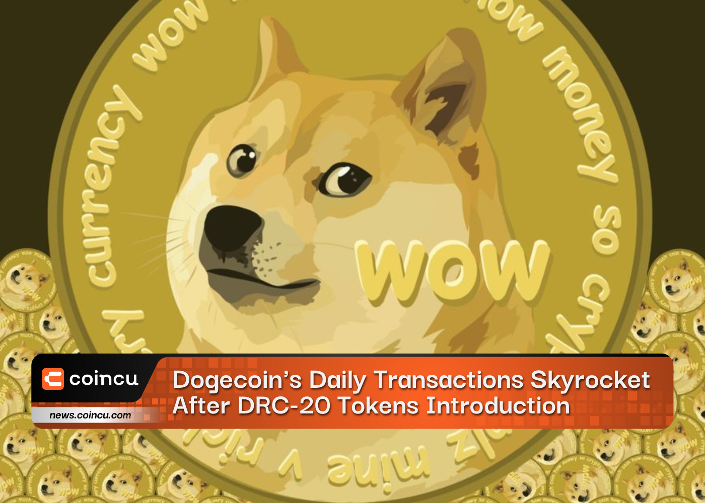 Dogecoins Daily Transactions Skyrocket