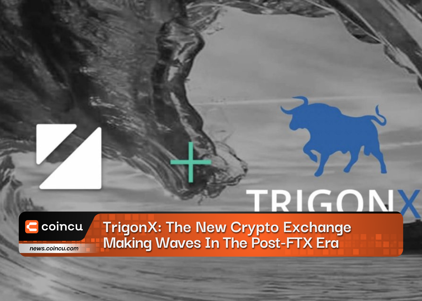 TrigonX The New Crypto