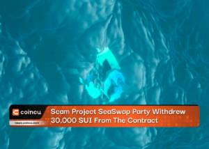 Scam Project SeaSwap Party Withdrew 30,000 SUI From The Contract