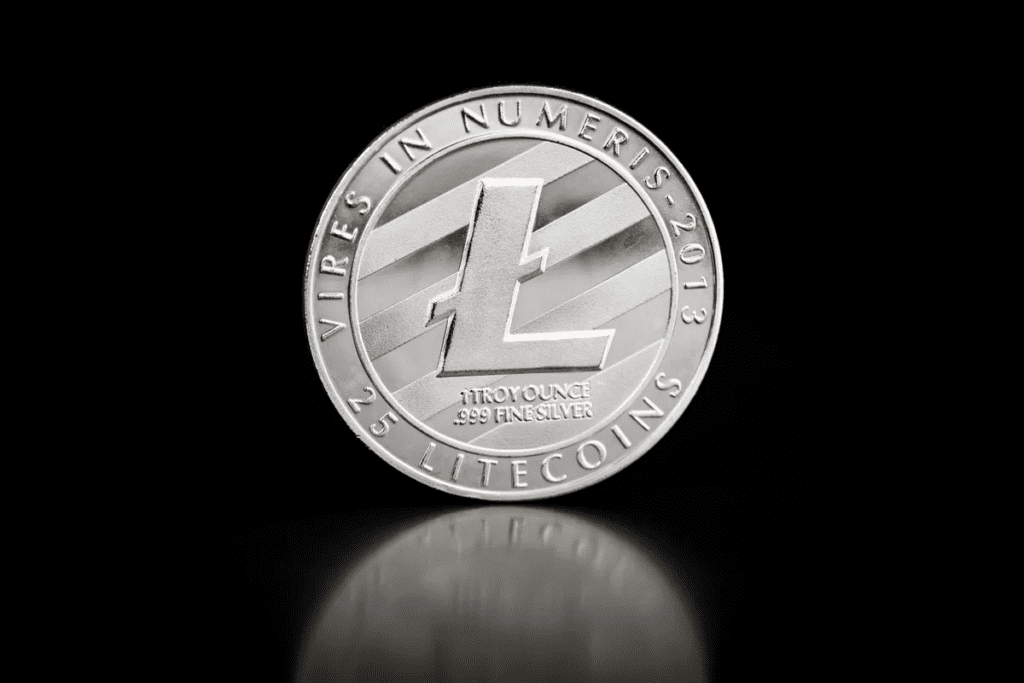 Litecoin's New Standard LTC-20 Is What?